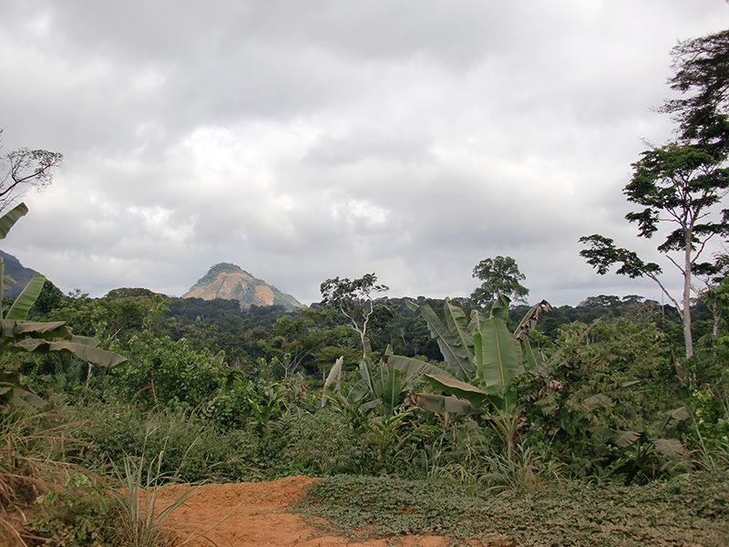 visa guinee equatoriale