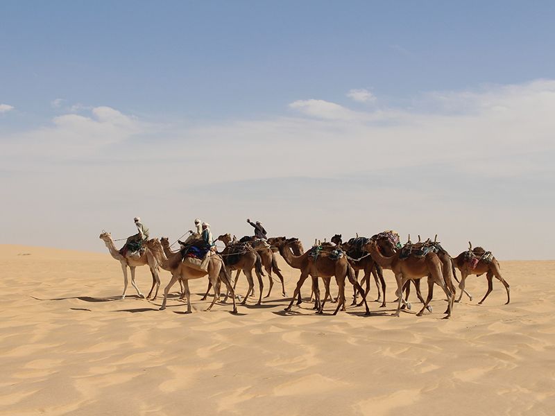 visa tchad