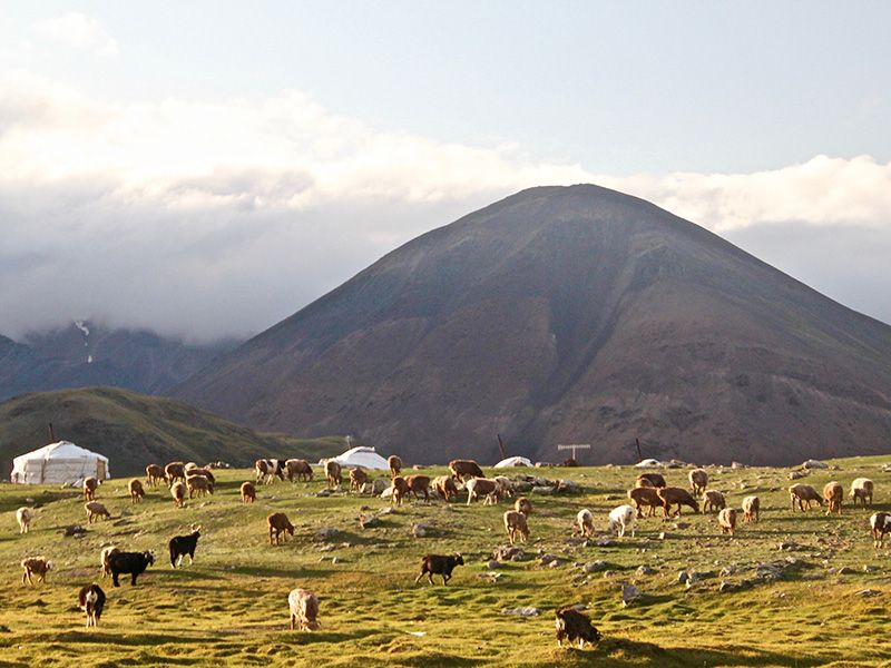 visa mongolie