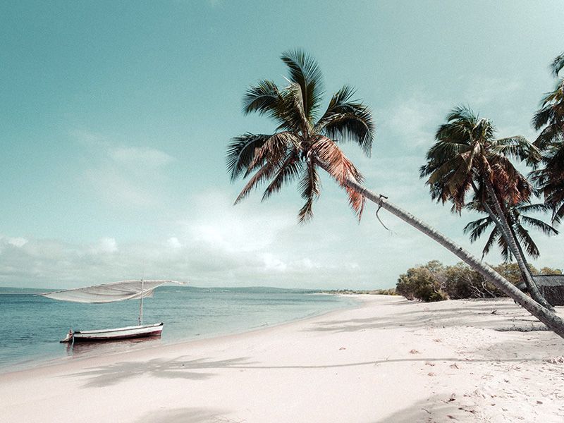 visa mozambique