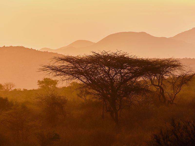 visa kenya